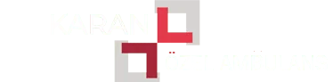 Logo Alt Siteler
